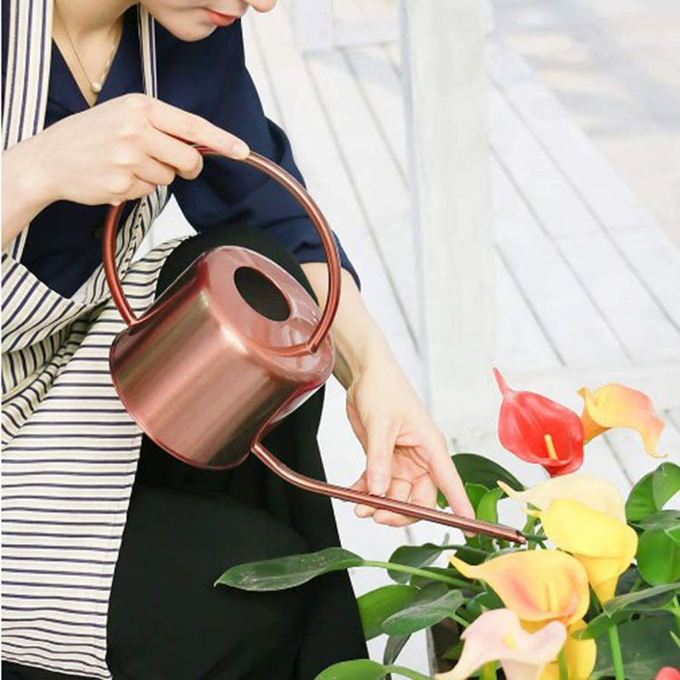 Water Can Metal Stainless Steel Watering Can with Long Spout for Outdoor and Indoor Plants Small Watering Jug for Houseplant, Mini Garden