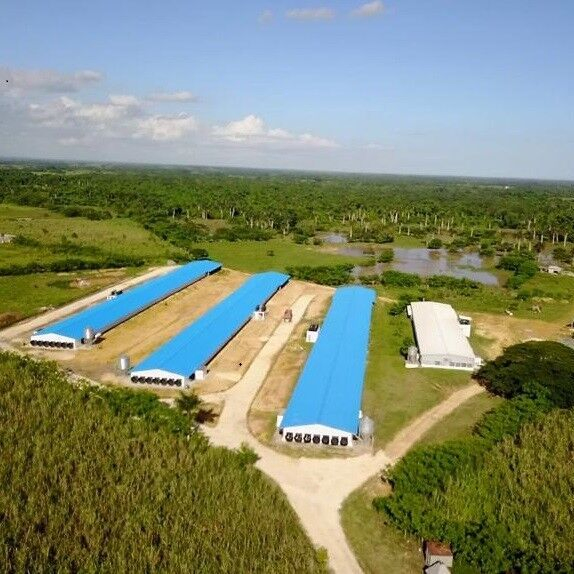 Prefab Steel Structure Chicken House with Equipment for Sale