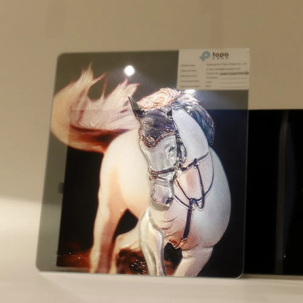 Customized 2mm-12mm Smart Bathroom Mirror Flat Sheet Glass (S-F3)