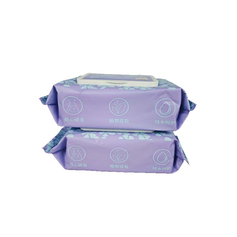 Eco-Friendly Flushable Wet Toilet Wipes Visco Non-Wavens Biodegradable Wet Toilet Wipe for All Ages