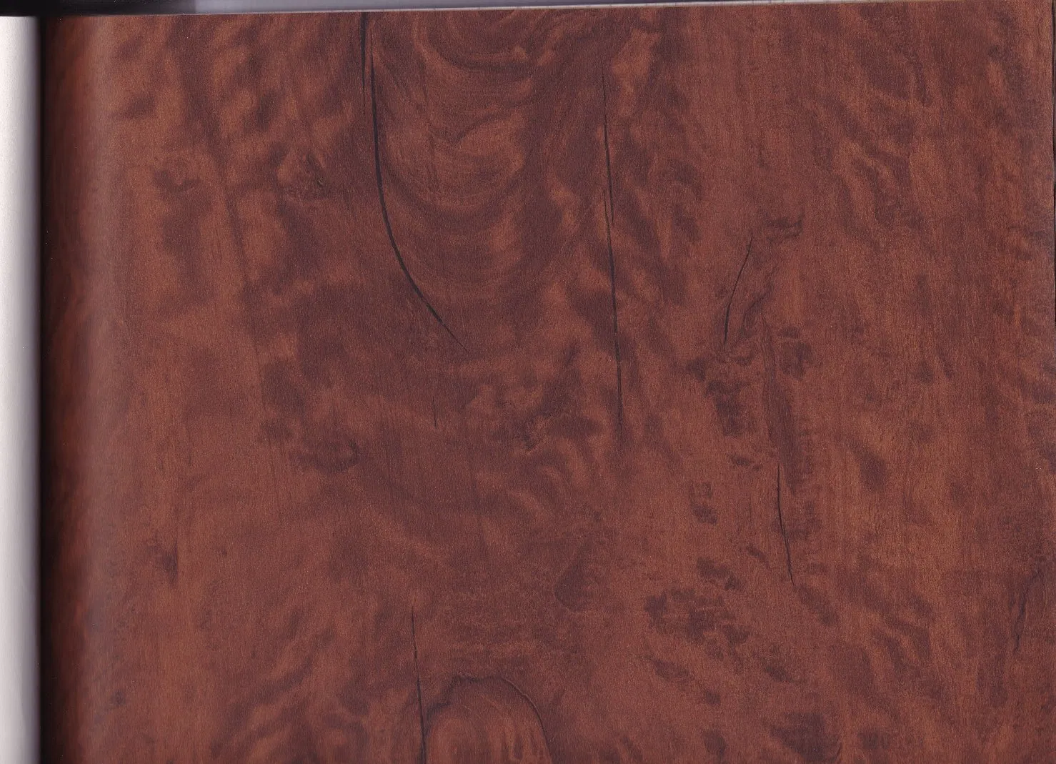 Amino Paper Cold Press Laminated for MDF Paper Lamination Sheet