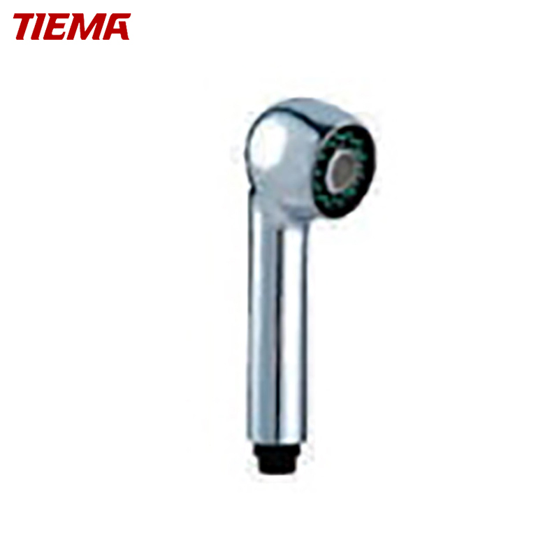 Hot Sale Hand Shower (ZS054)