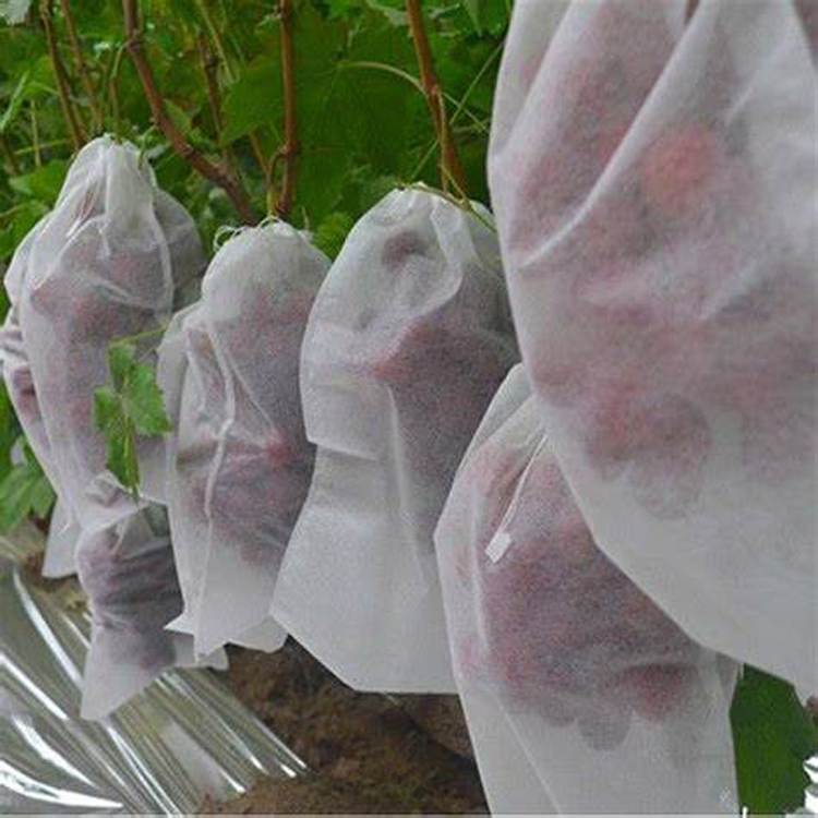 100% PP Spunbond Agriculture Textile Nonwoven Fabric with UV Treatment