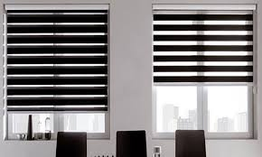 Toma Good Quality and Different Style Zebra Blinds