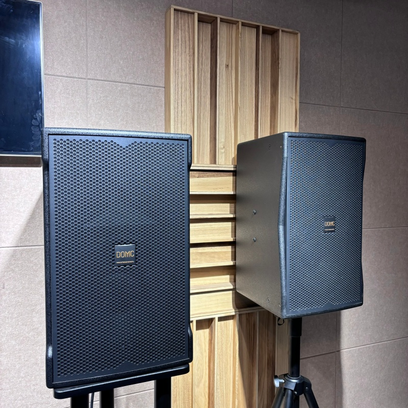Domc K215 15-Inch Speaker - Ideal for Clear Vocal Reproduction