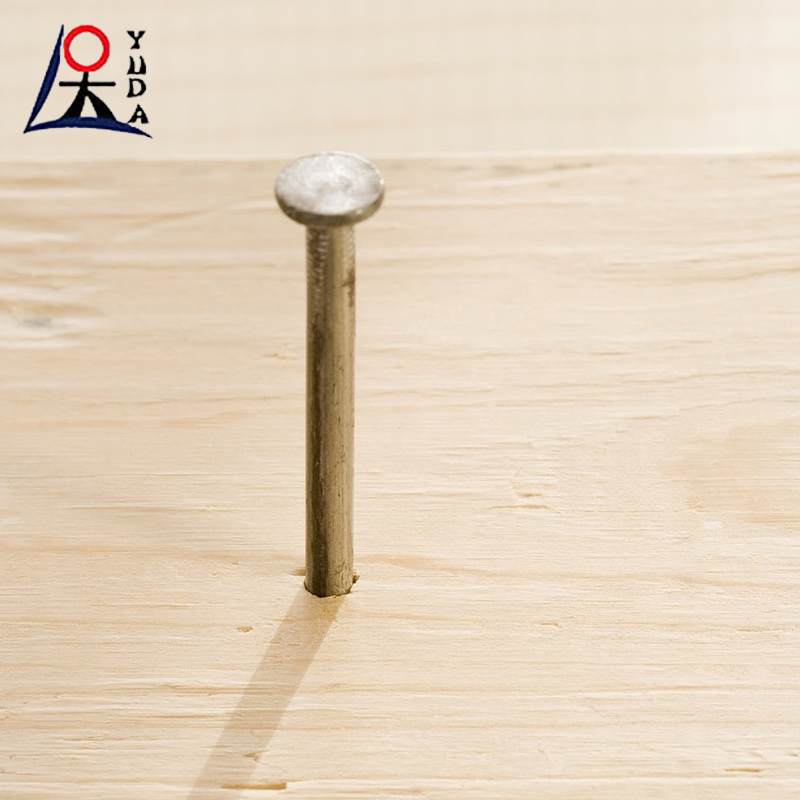 Galvanized Pure Iron Wire Nails Round Head Building Nails