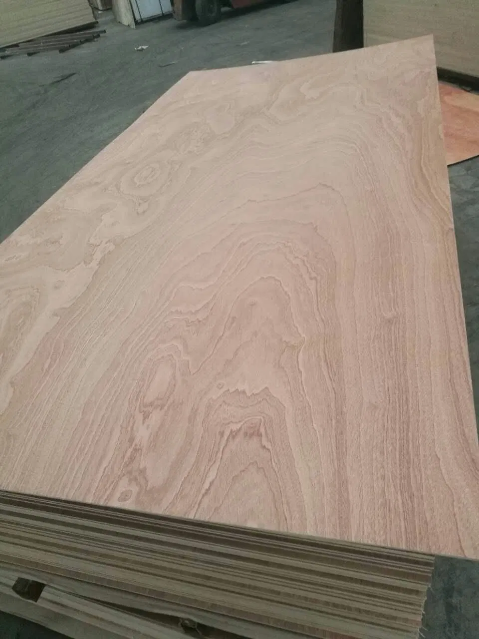 Sapele Plywood/Sapili Plywood/Bintangor Plywood