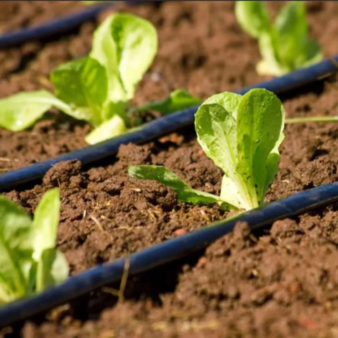 Agricultural Drip Irrigation Tape Hose Pipe System 16mm for Farm Garden