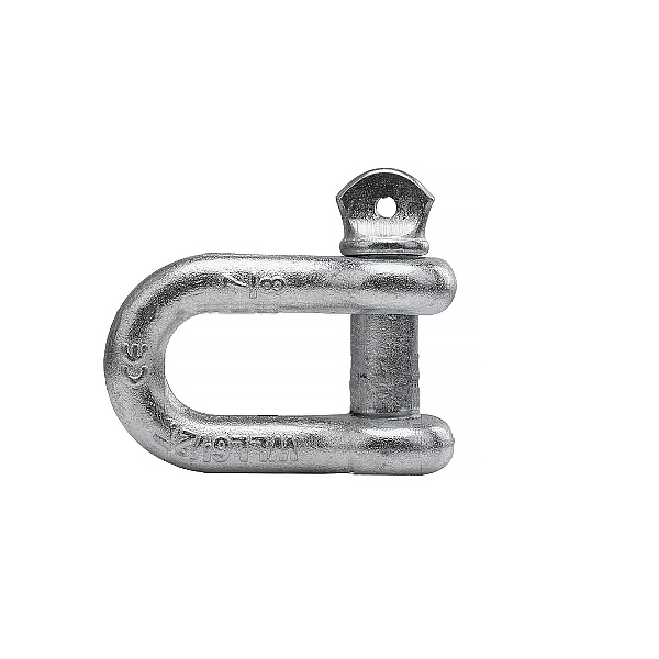 Rigging Hardware Screw Pin D Ring Shackle for Wirerope Lifting Ship Anchor