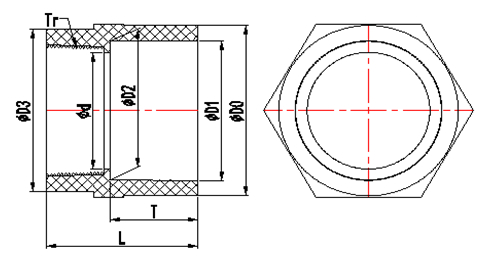1/2inch 3/4inch 1inch NPT Threaded Sch80 CPVC Female Adapter