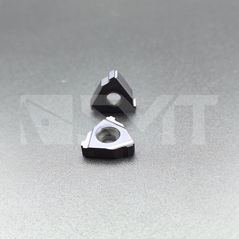 Oil &Gas-Geological Drilling- Carbide Threading Inserts-22er 4dz