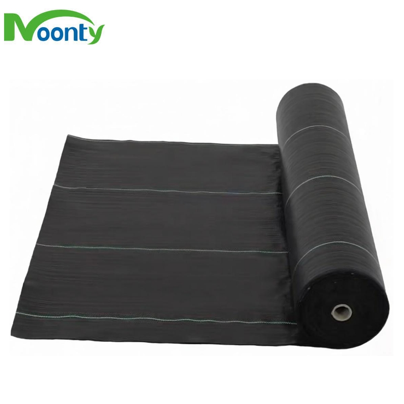 Durable PE Ground Cloth Weed Control Fabric Anti Grass Ground Cover