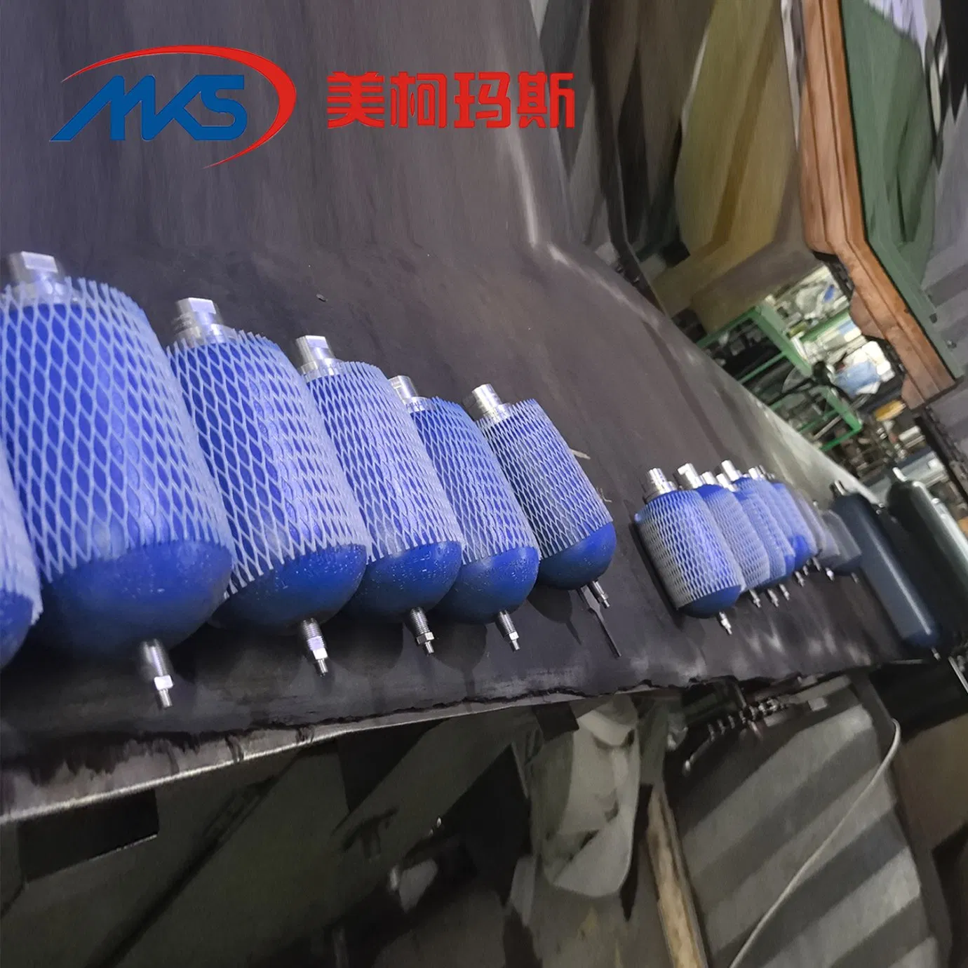 Гидравлический аккумулятор MKS 245-6567, 247-8556, 248-0307