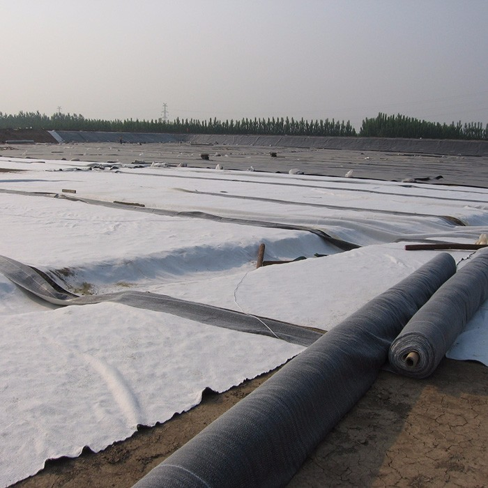 Useful Bentonite Waterproof Blanket Earthwork Geosynthetic Clay Liner for Gcl Landfill