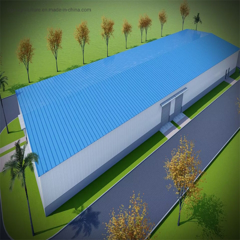 EPC High Strength and Seismic Resistance Fast Installation Prefabricated Workshop