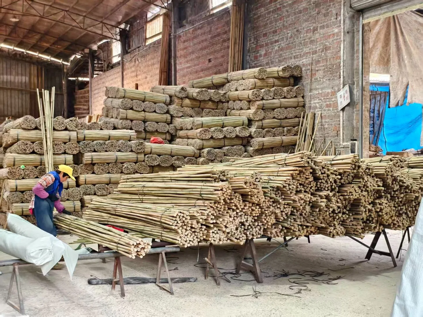 High Quality Nature Bamboo Cane Stake Dia. 22-24mm X 240cm for Plants Grow and Decorative