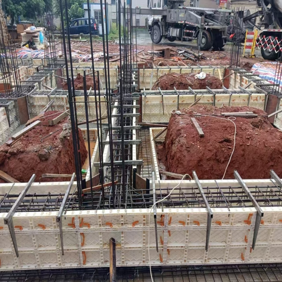 Professional Plastic Concrete Template for Construction