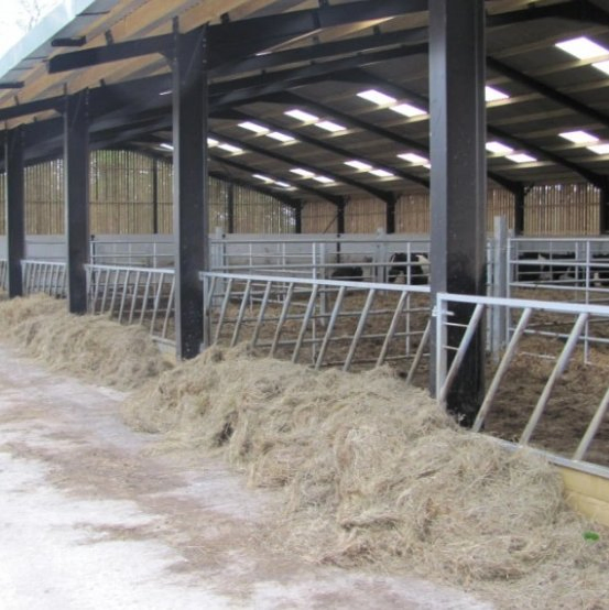 Can Move Steel Structure Hay Shed Barn Insulated Dog Kennel Shed Farm Warehouse