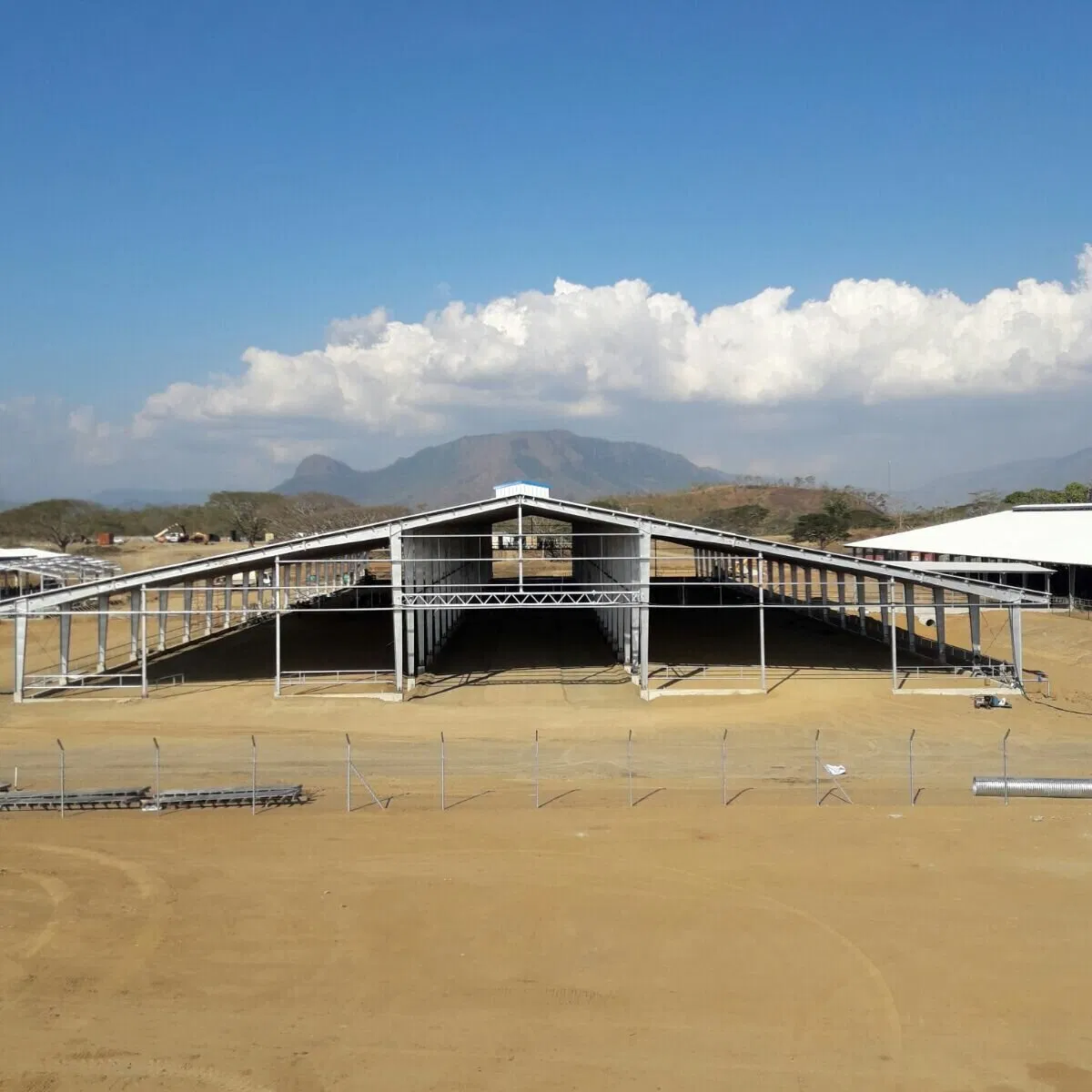 Prefabrication Premium Factory Premium Price Steel Structure Poultry Coop