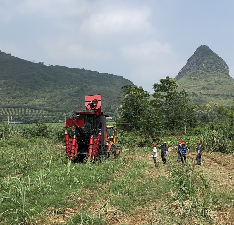 Самоходная уборочная машина для кукурузы и сахарного тростника