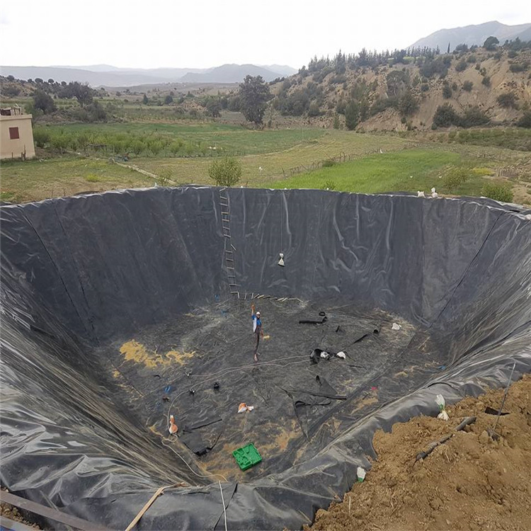 Pond Liner HDPE Geomembrane Dam Liner for Irrigation