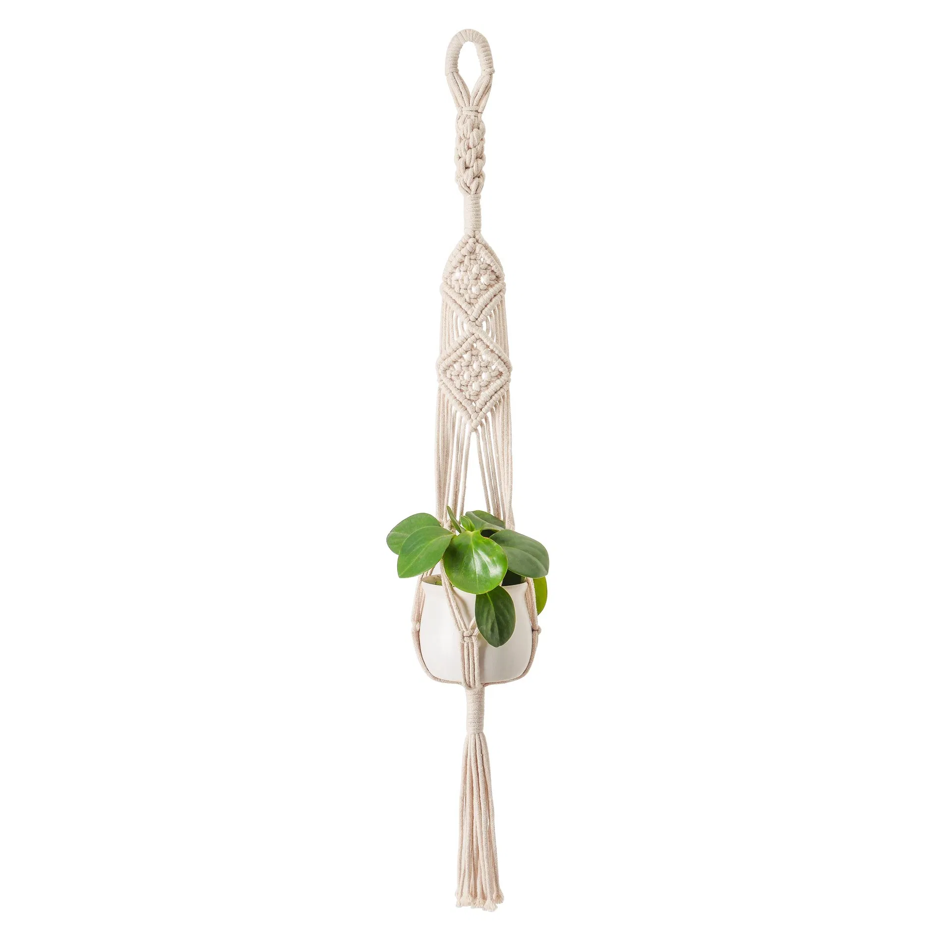 Stylish Handmade Cotton Macrame Hanger Set for Wall and Plant Display