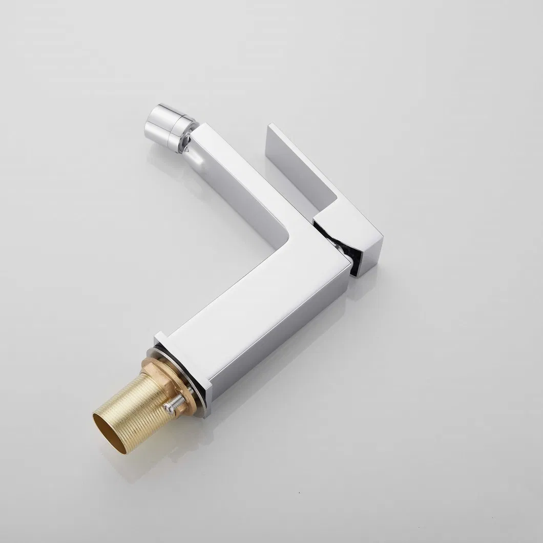 Поворотный смеситель для биде с латунным корпусом