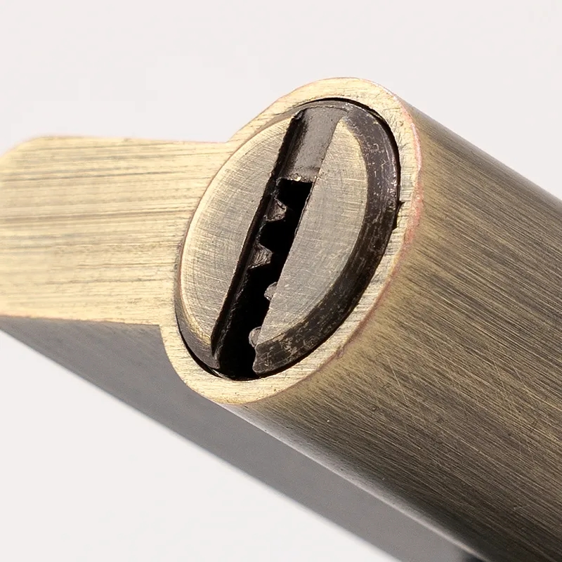 Wenzhou Origin High Security Door Lock Cylinder with Keys