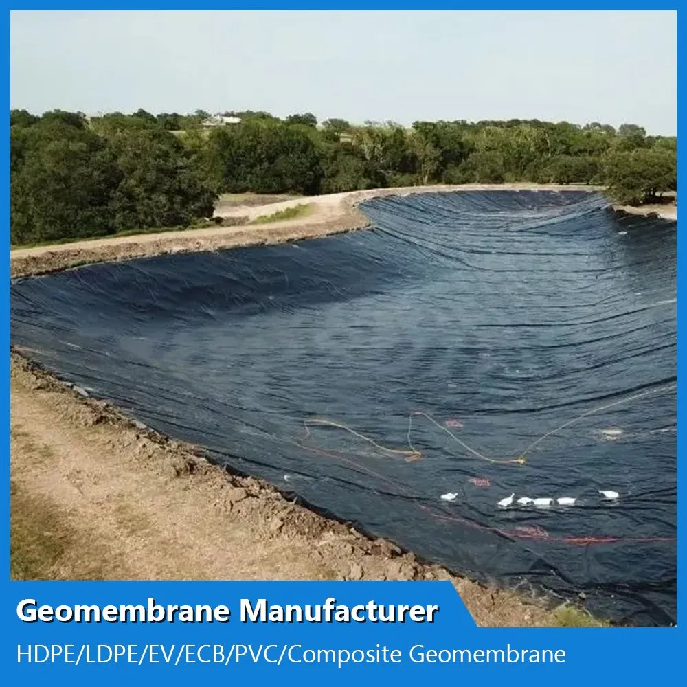 ASTM Virgin Material 0.2mm/0.5mm/0.75mm/1mm/1.5mm/2mm Waterproof HDPE Geomembrane Manufacturer