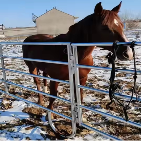 Premium Metal Field Fence for Cattle and Horses