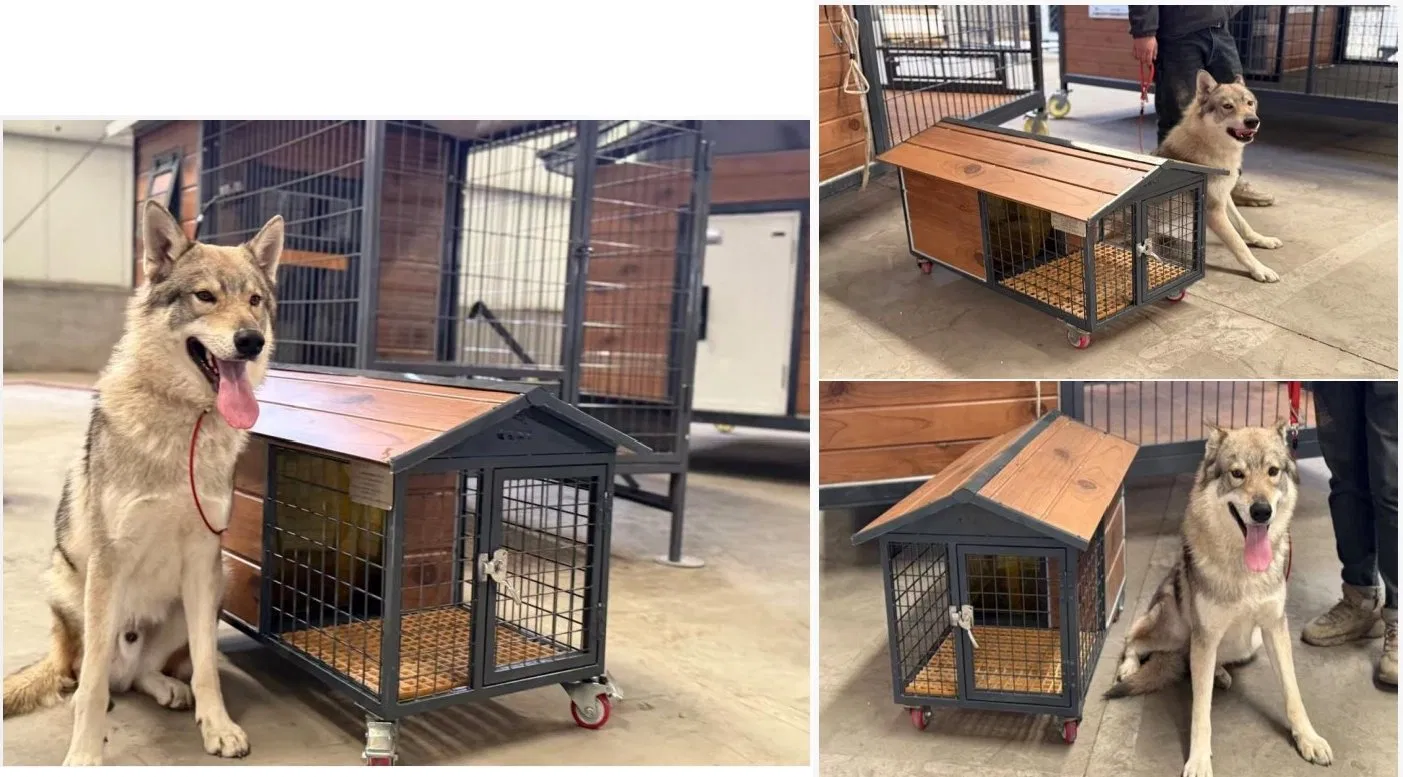 Spacious Modern Outdoor Waterproof Puppy House Kennel Large Dog Cage