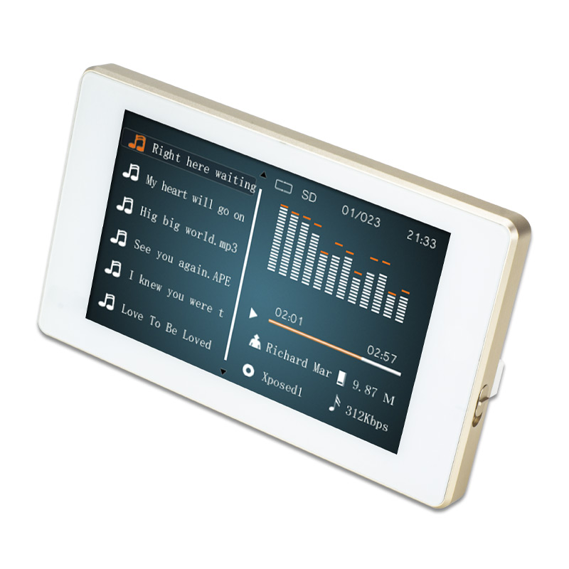 Tianlai Interruptor Inteligente Tuya System 120W Bluetooth Wall Amplifier with Remote Control