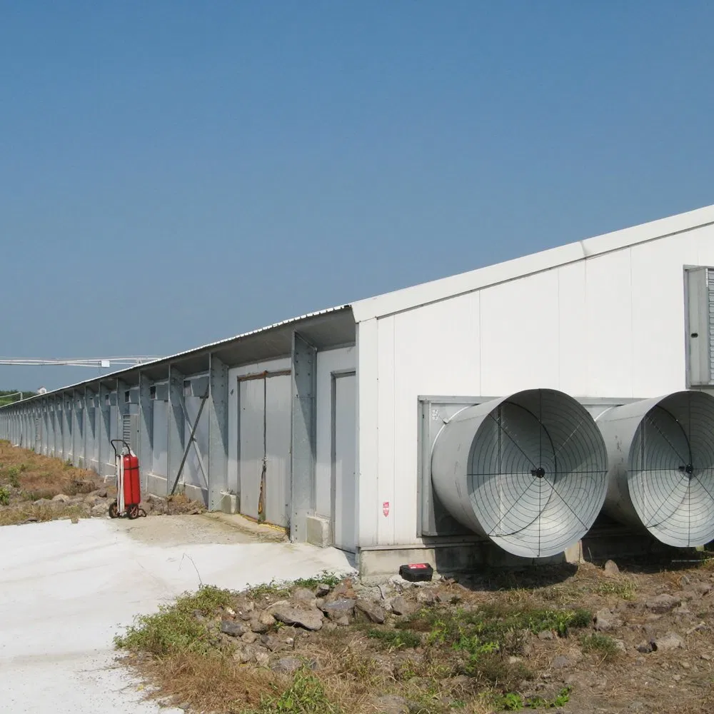 Prefabricated H Beam Prefab House Steel Small Poultry House From China