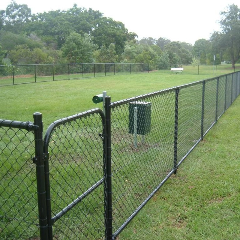 Galvanized/PVC Coated Chain Link Fence