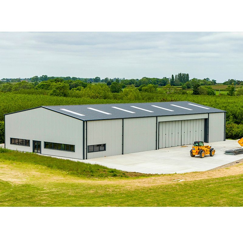 Steel Structure Fabrication High Strength Low Alloy Painted Galvanized Steel Component for Warehouse