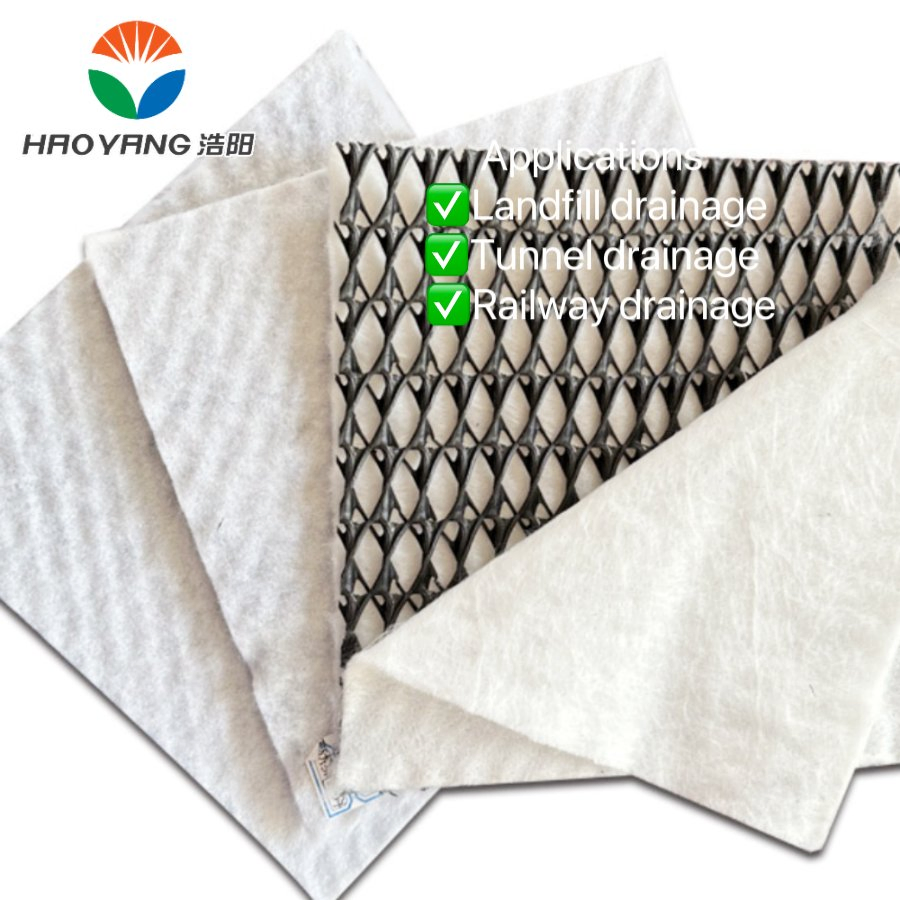 Fast Construction and Installation, HDPE Composite Geonet Be Used in Landfill Drainage