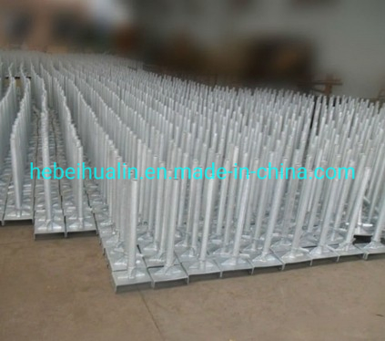 Steel Galvanized Adjustable Screw Base Jack Scaffolding U Head Jack Base