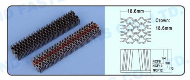 China CF, W, Nr, X, Nc Series Tiger Corruagted Carton Pallet Slider Door Nail