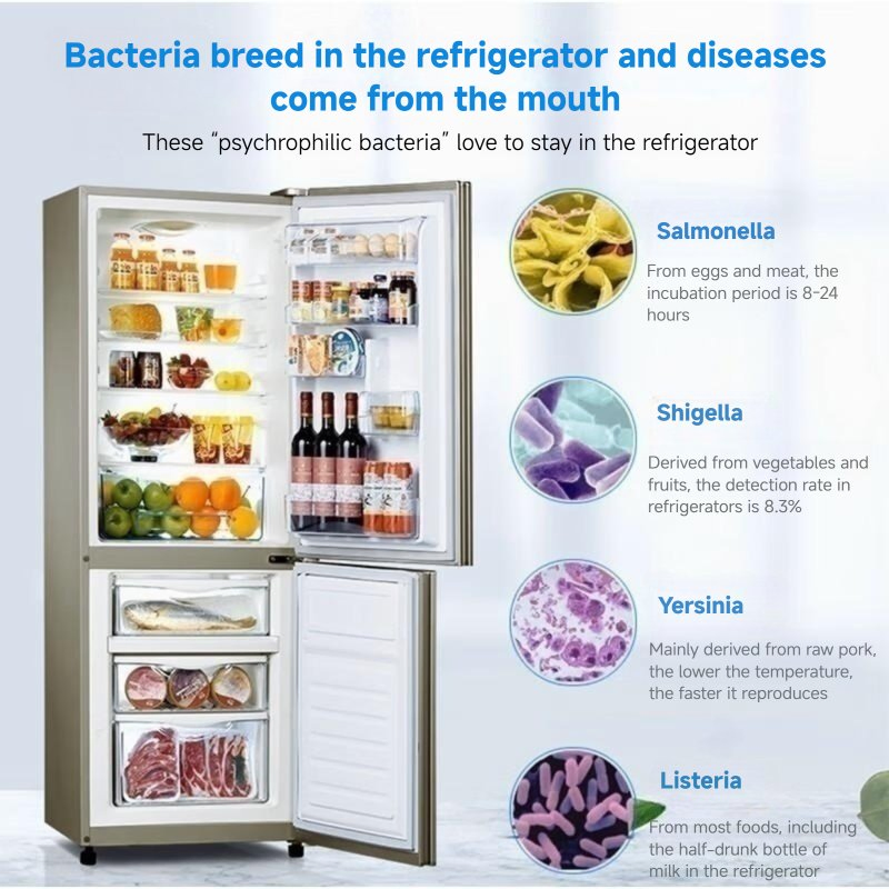 High-Temperature Resistant Antibacterial Easy-to-Use Refrigerator Deodorizer for Fridge Odor Removal