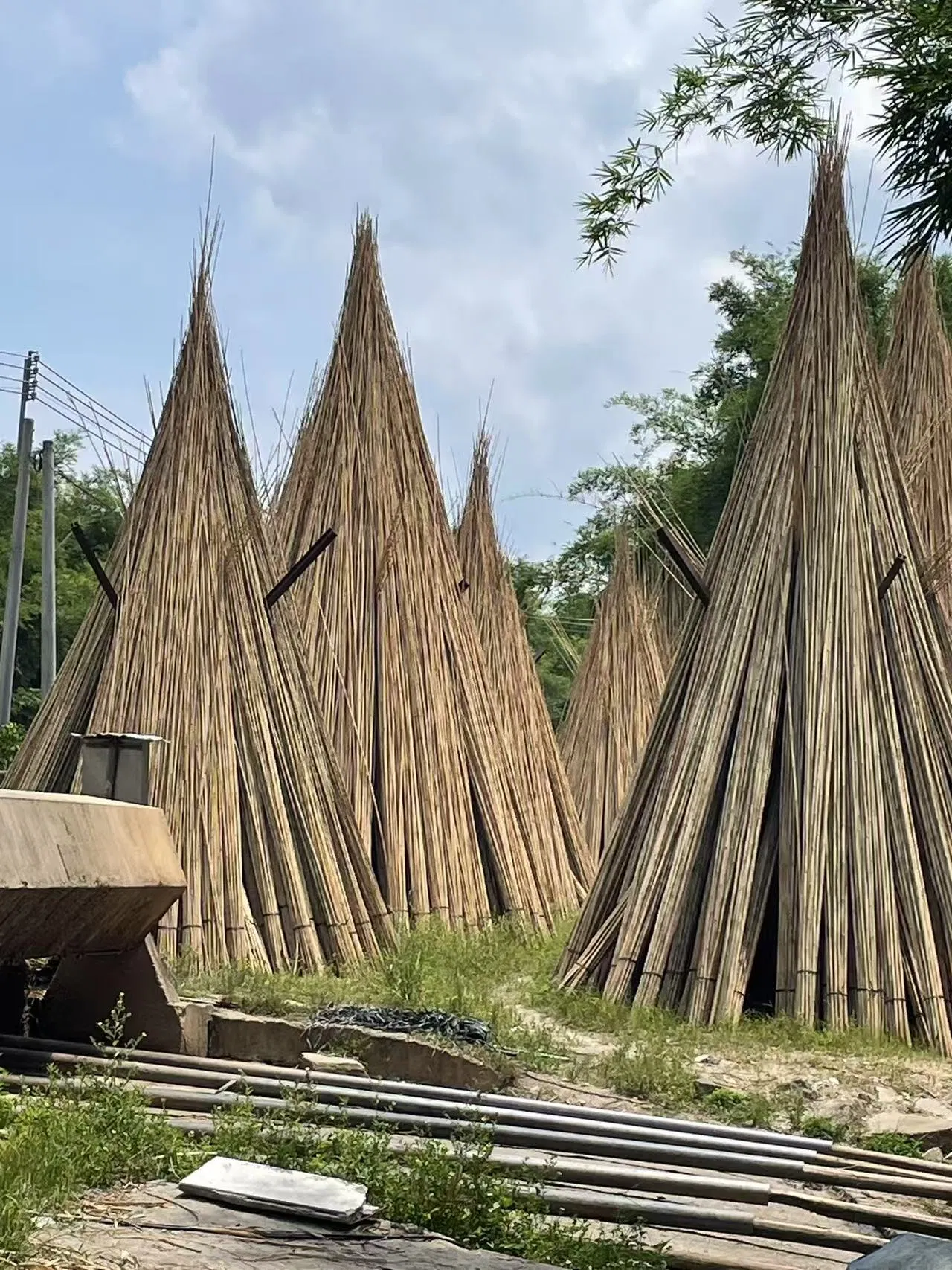 Factory Hot Sale Natural Bamboo Raw Materials Bamboo Pole Cane Stakes for Horticulture Plantation Support