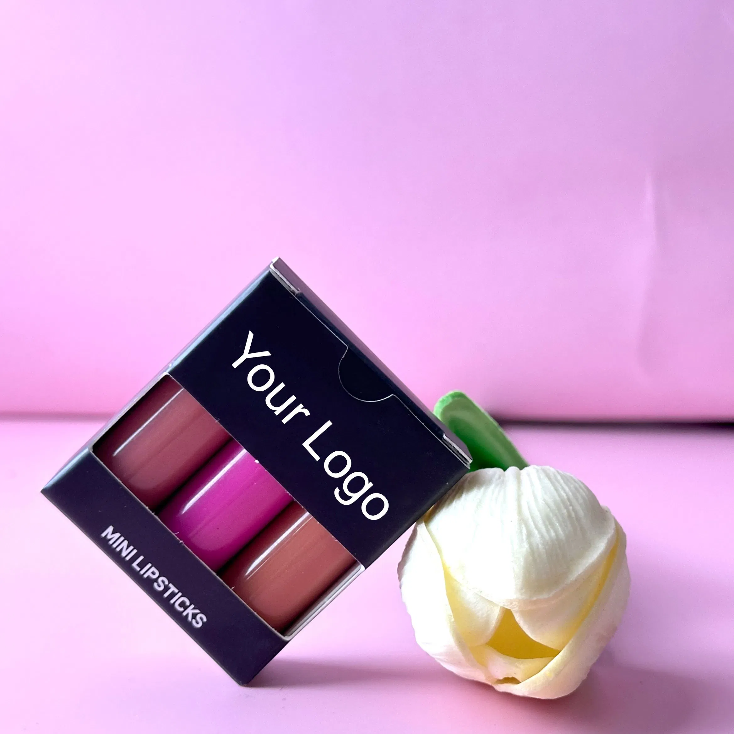 High Quality Makeup Mini Lipstick Set Custom Your Brand Lipgloss Set