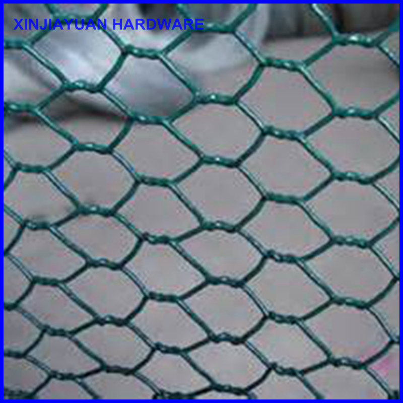 Galvanized Hexagonal Wire Mesh/Chicken Wire Netting