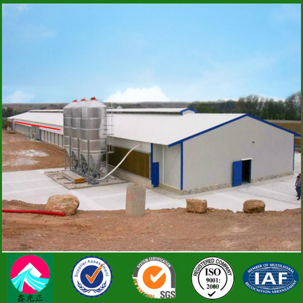 China Supplier of Steel Structure Chicken Poultry