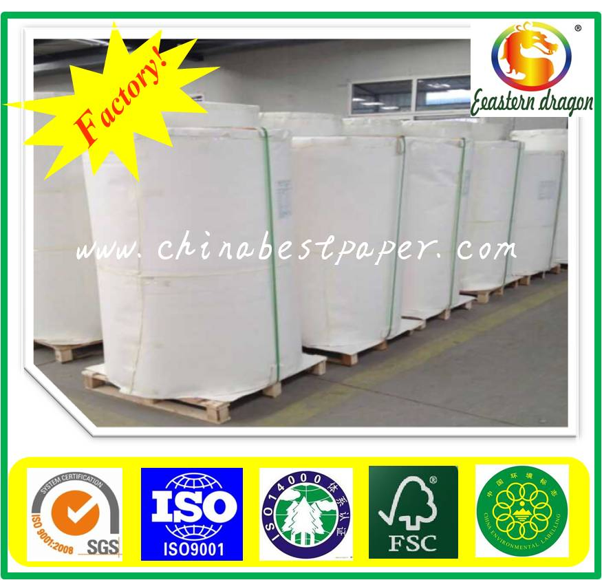 Rear paper Cup Paper 180g (965*365mm*180g/18g)