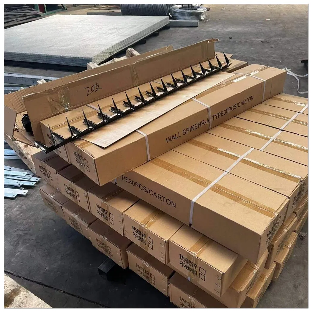 Hot Dipped Galvanized PVC Coating Wall Spikes