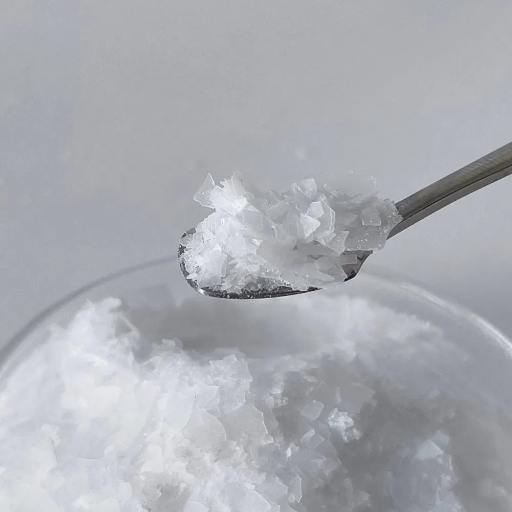 Sfc-12f 32% Water Reducing White Flake Polycarboxylic Acid Superplasticizer for Concrete Additive