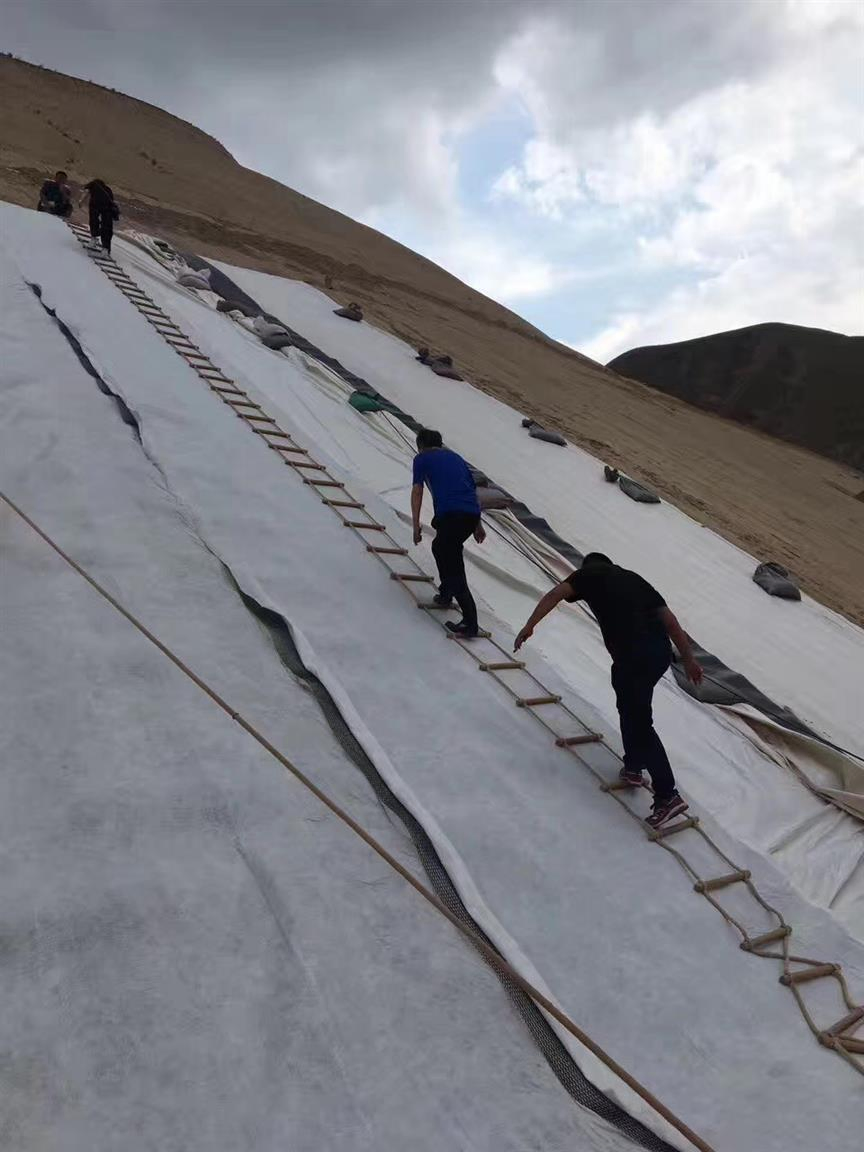 High Quality HDPE Plastic Triplanar Composite Drainage Net Network Geonet Manufacturer Geonet Supplier