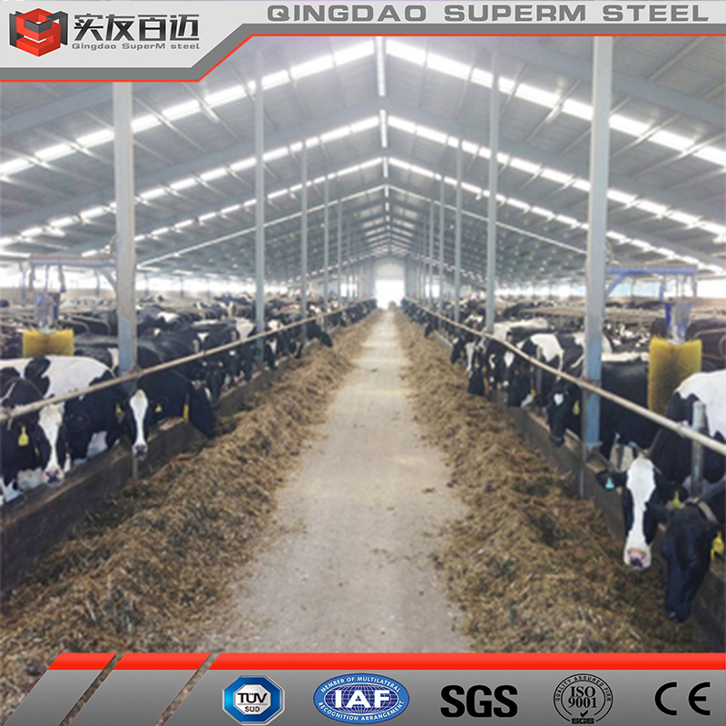 Prefabricated Cattle Goat House Steel Structure Dairy Farm Building