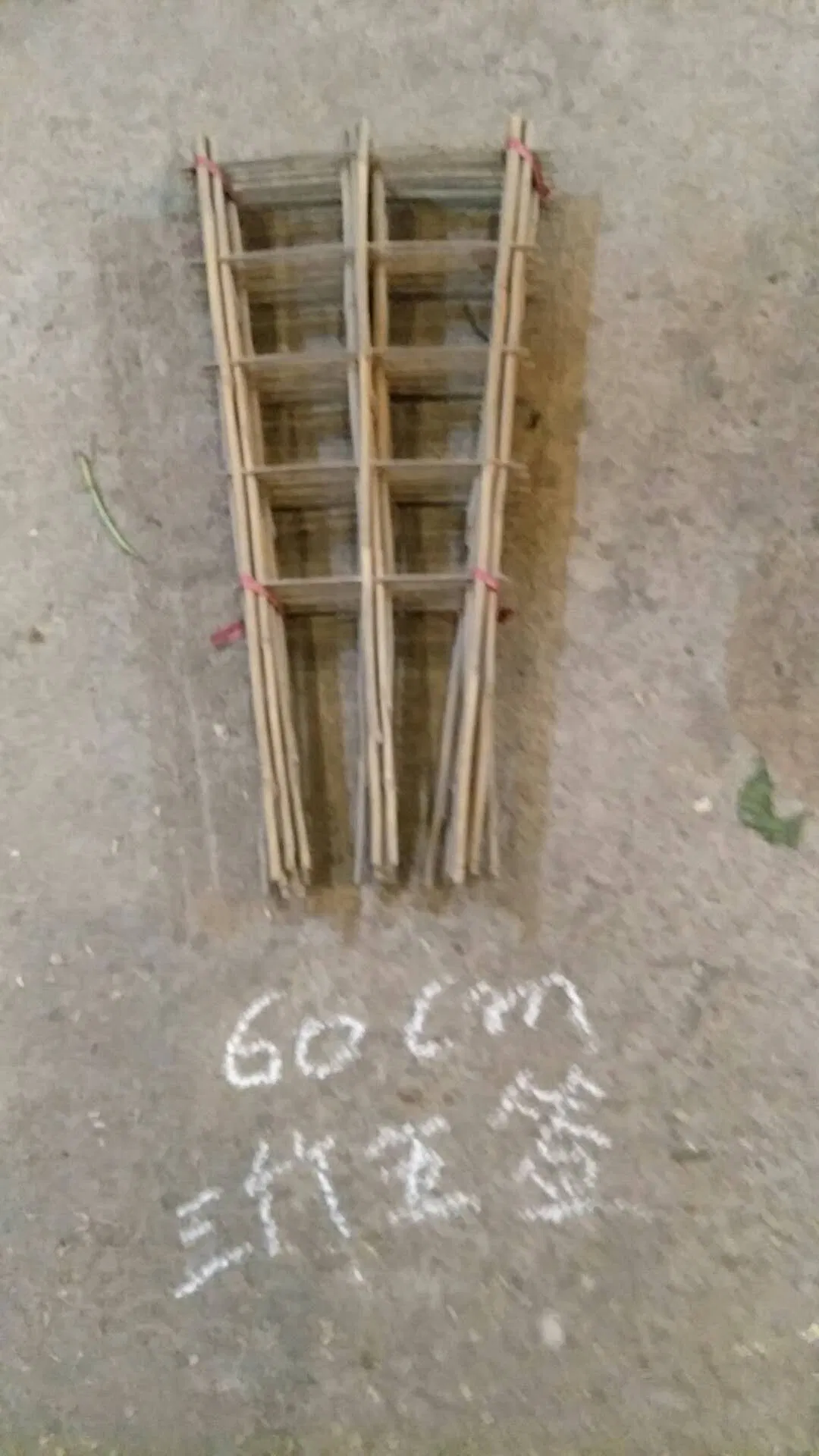 Bamboo Plant Fan Trellis H85cm