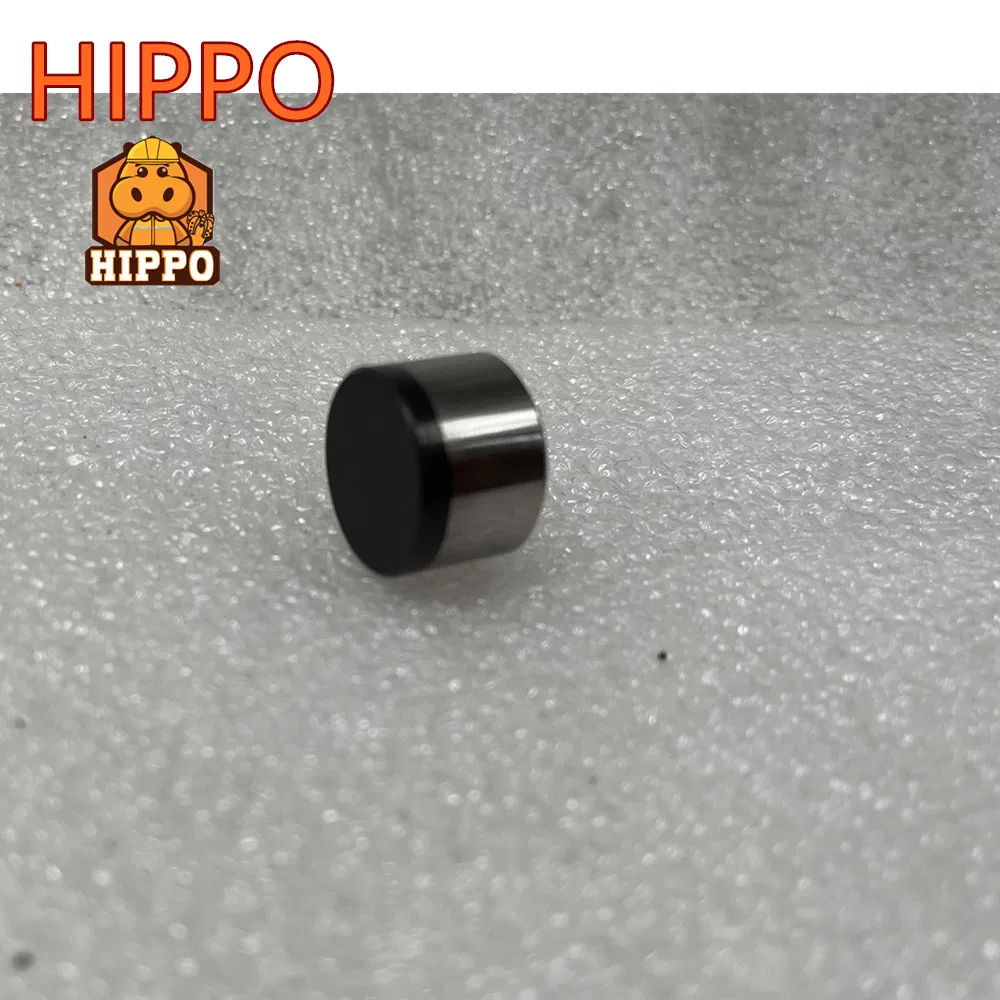 1304 1305 1613 PDC Cutters for PDC Drill Bits High Quality PDC Cutter for Oil Drilling and Coal Mining